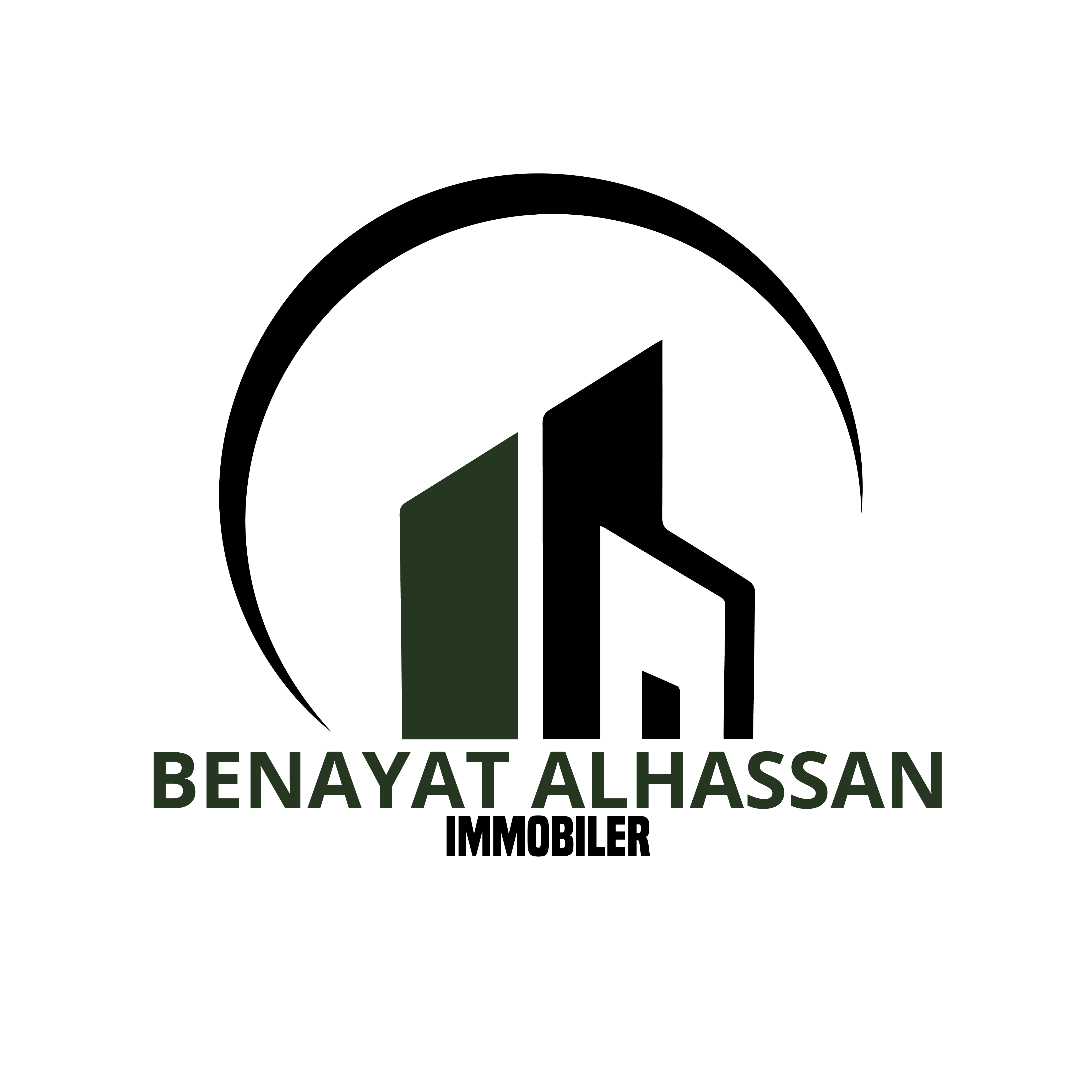 binayatalhassanimmobilier.com